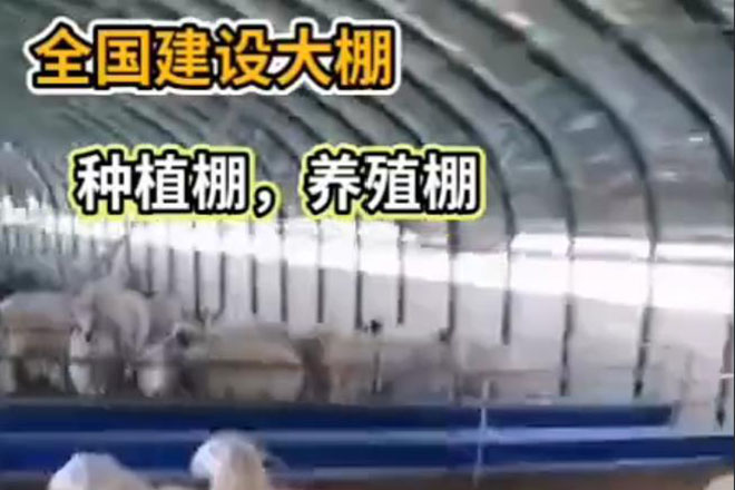 全國建設(shè)大棚（種植棚，養(yǎng)殖棚）